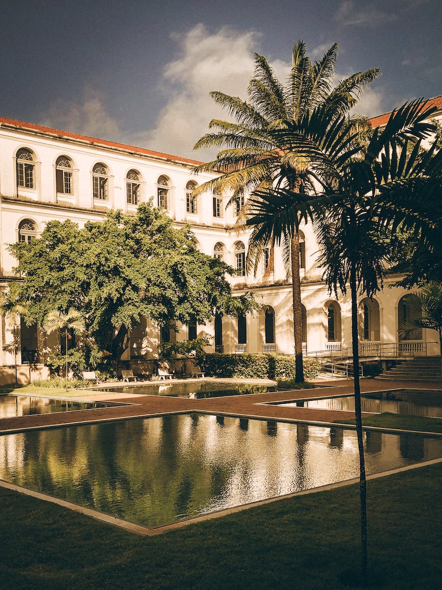 Palm Trees in Courtyard