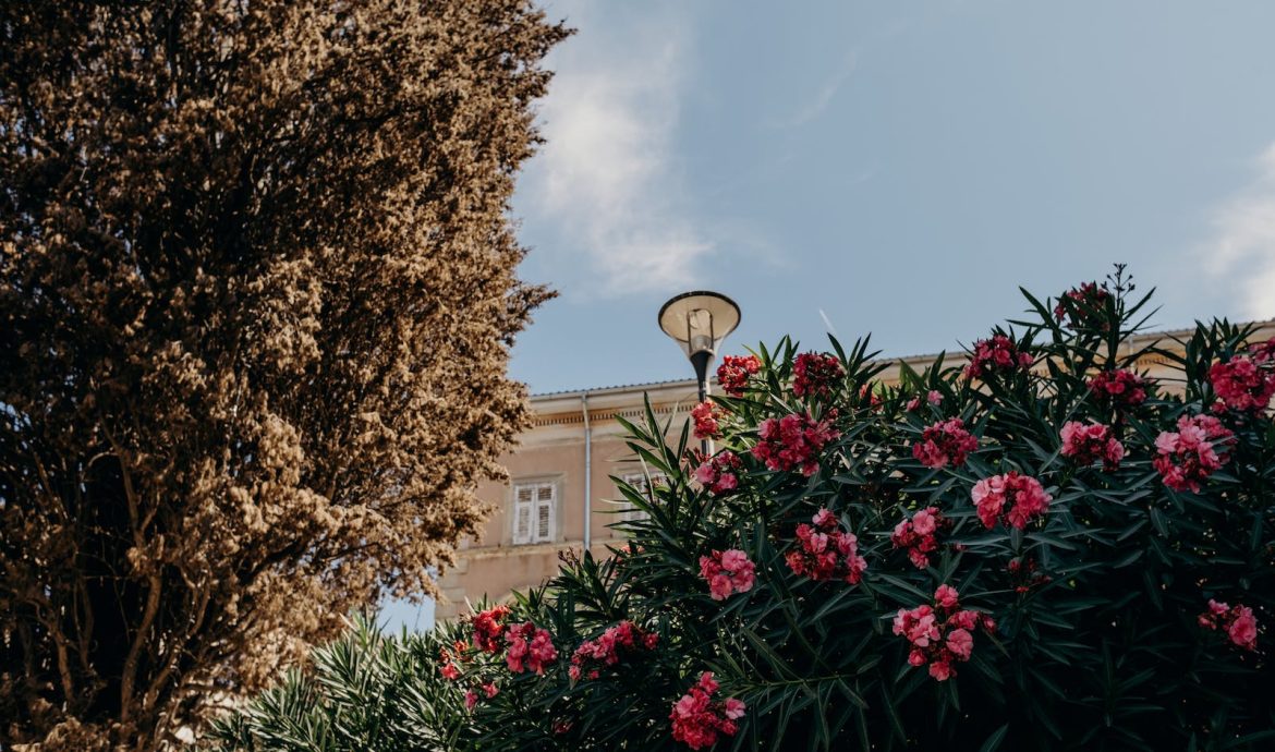 A street lamp and flowers in front of a building