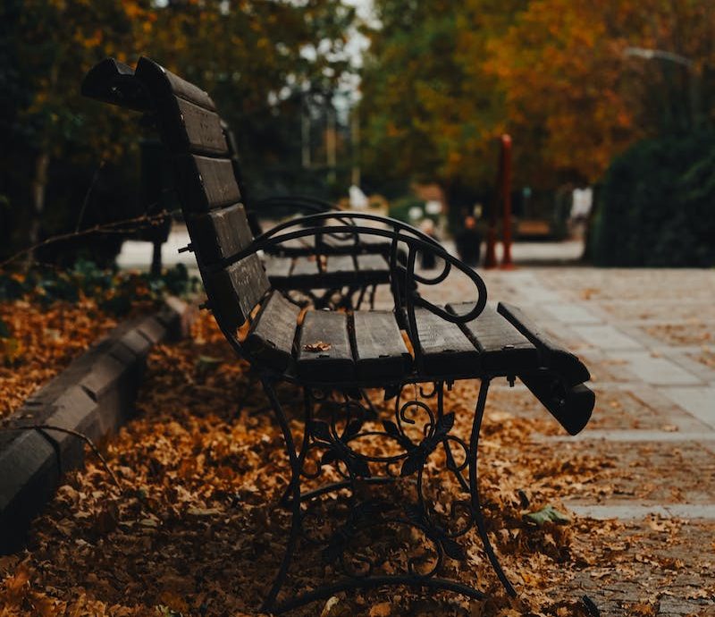 A bench in the fall with leaves on the ground