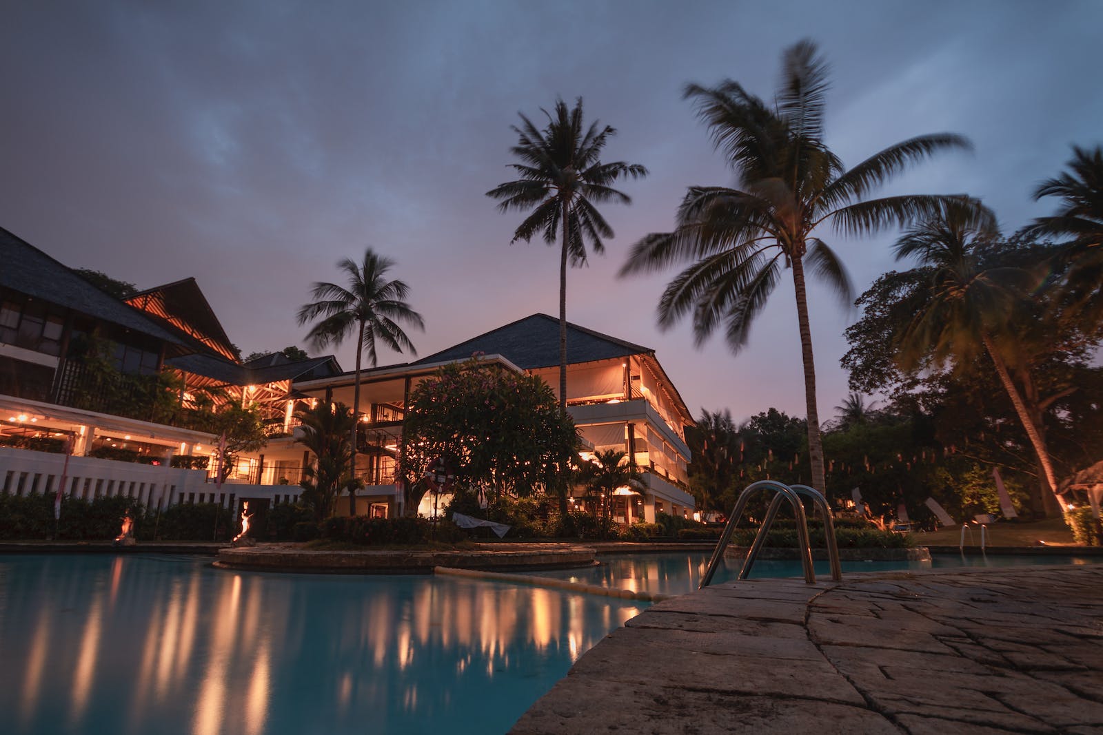 Palm Trees at Night