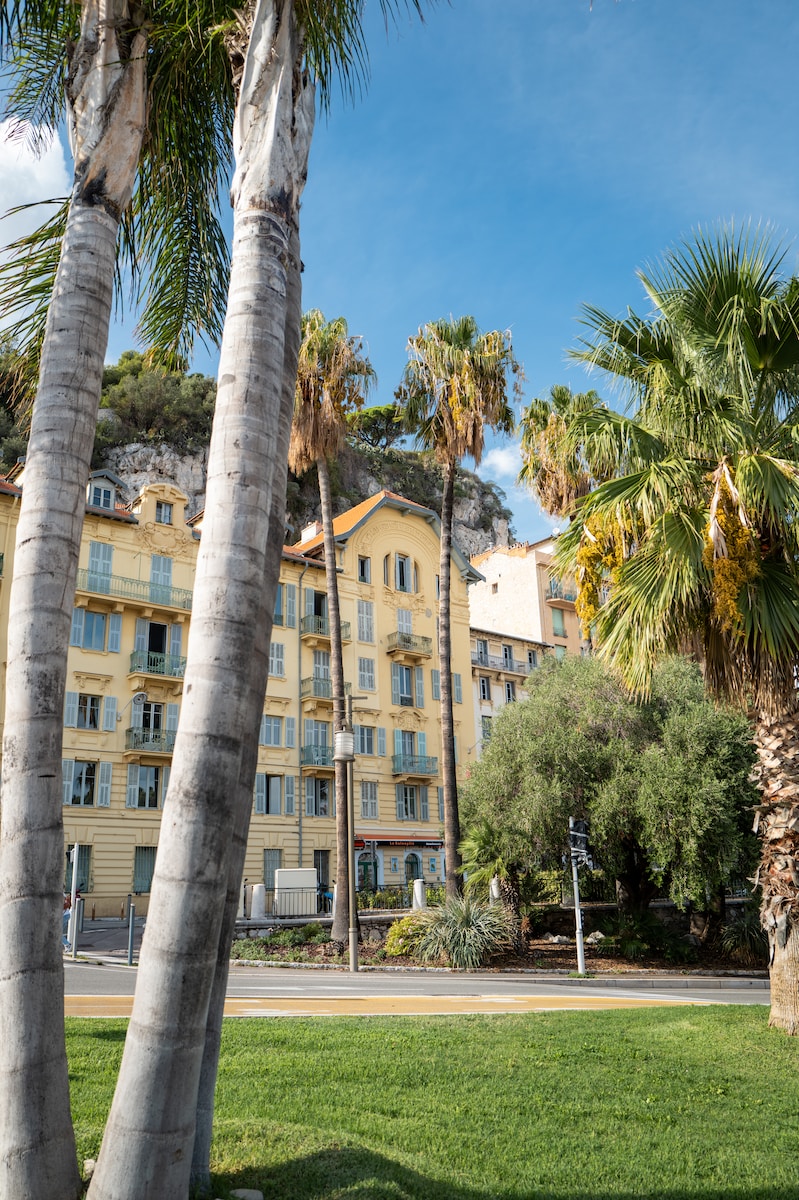 a couple of palm trees sitting in front of a building