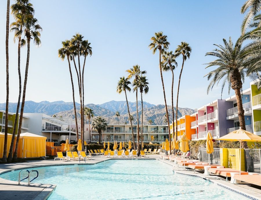 swimming pool near palm trees during daytime