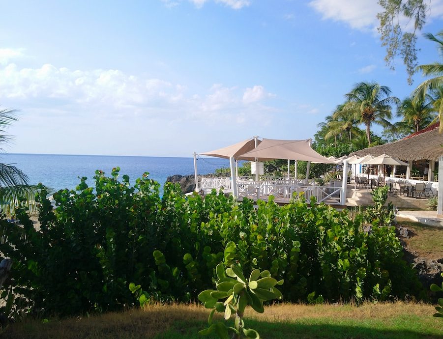 a lush green field next to the ocean