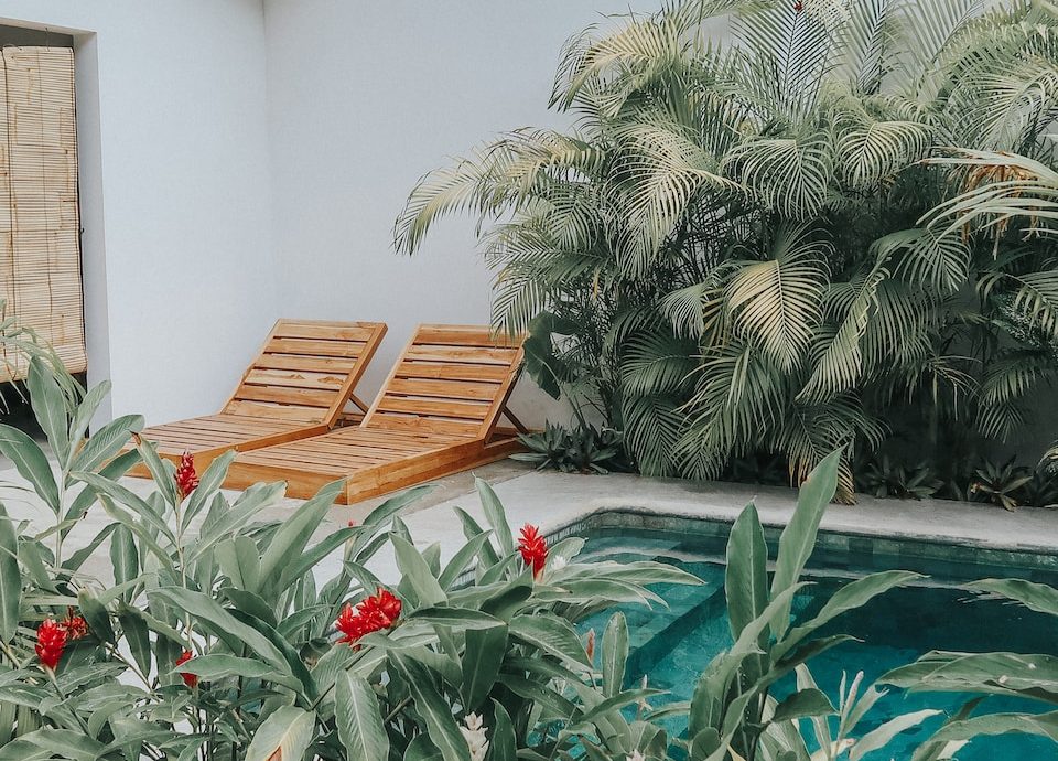 green palm tree near brown wooden bench